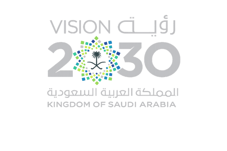 Vision 2030